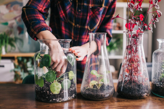 DIY Low Maintenance Indoor Herb Garden