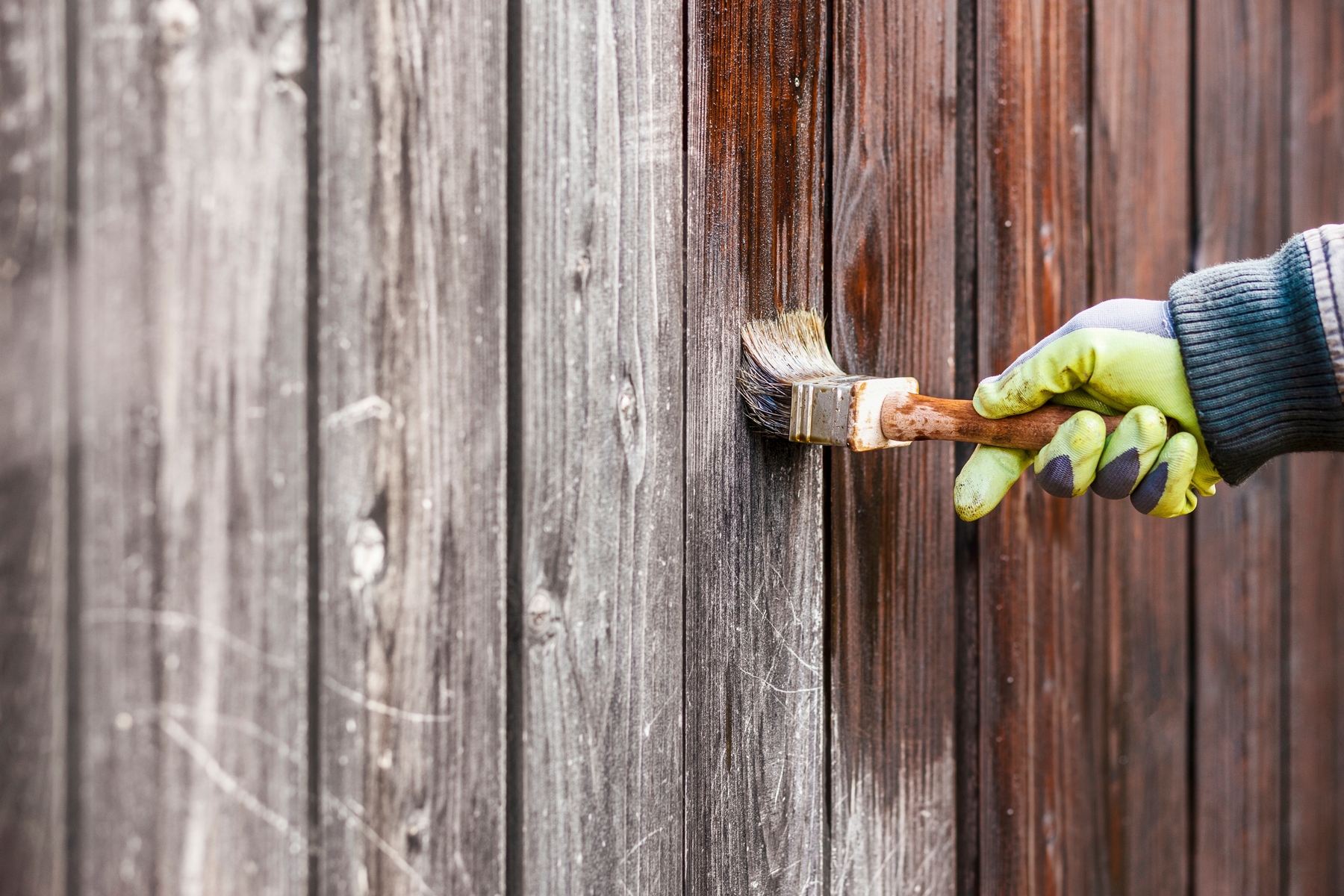 Paint a fence