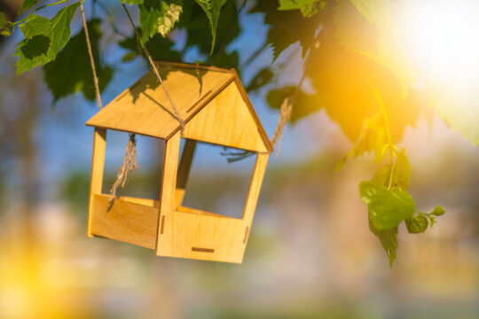 The 2-Hour Popsicle Stick Bird Feeder DIY