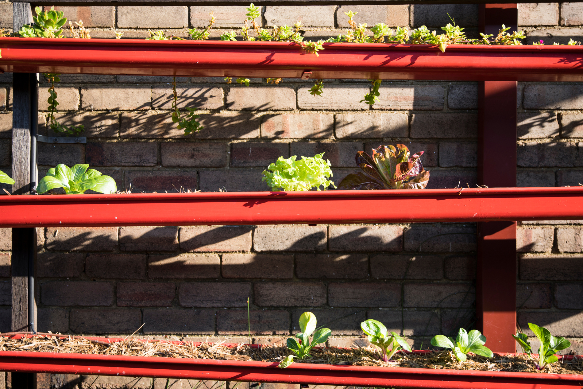 Old Rain Gutters Turned Into Garden Planters