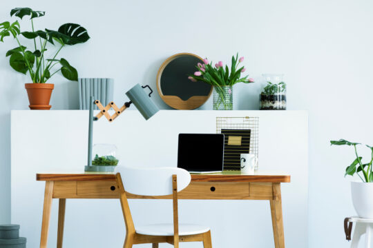 Study Corner