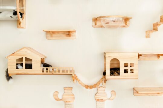 DIY Indoor Cat Playground