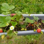 Repurpose Old Rain Gutters Into Garden Planters