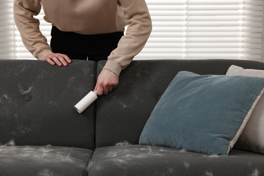 The 5-Minute Trick That Gets Pet Hair Off Any Couch or Car Seat