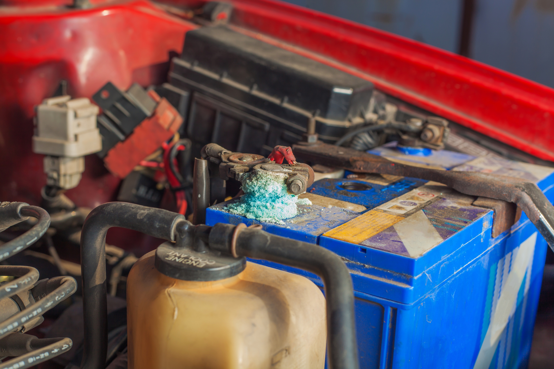Car Battery Terminal and Connector Cleaning 