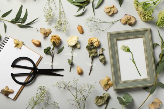 Turn Pressed Flowers Into Beautiful DIY Wall Art